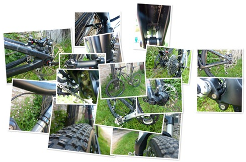 santacruztallboyspread